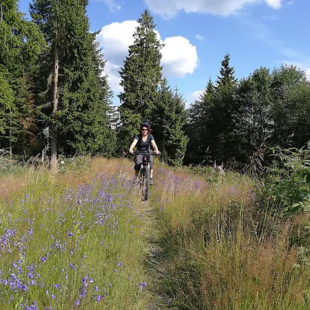 Ferienapartment Bergstation * Braunlage