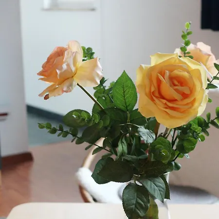 Ferienapartment Bergstation アパート ブラウンラーゲ