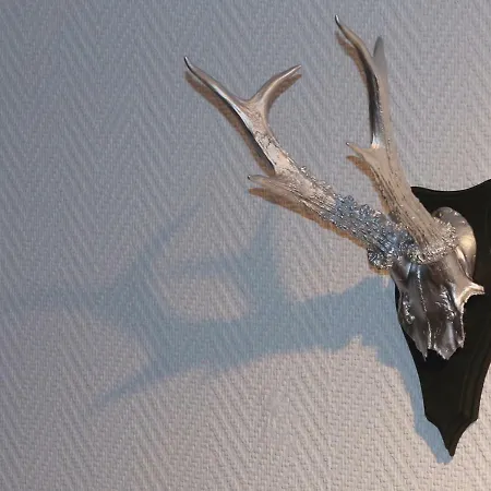 Ferienapartment Bergstation Apartament *