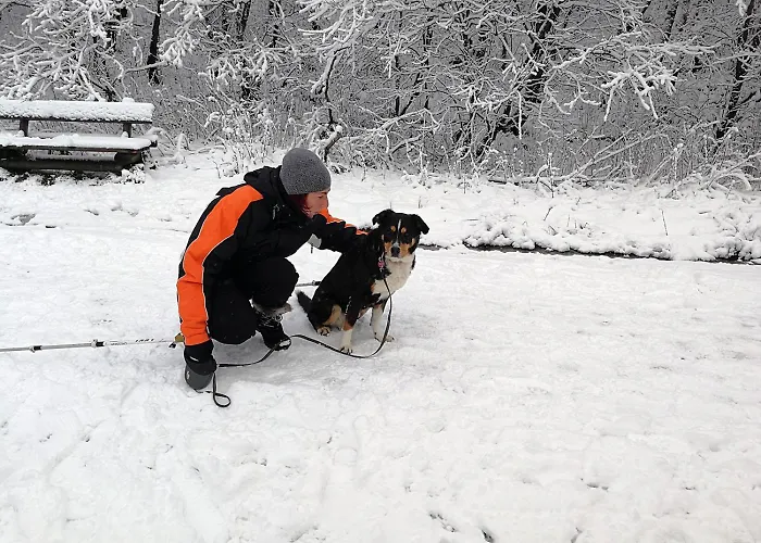 Ferienapartment Bergstation *